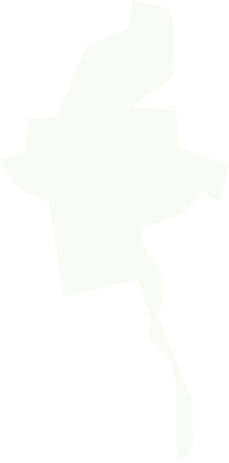 世界地図