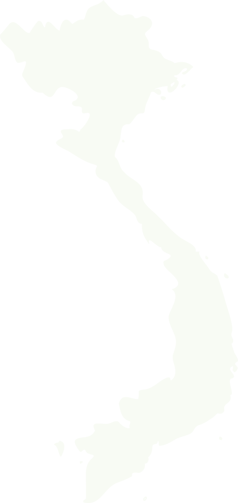 世界地図